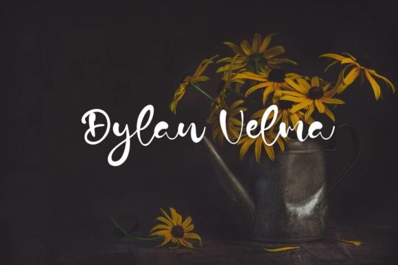 Dylan Velma Script Font for Handmade Brands & Printables