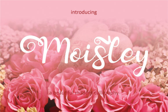 Moisley: A Sweet, Whimsical Script Font for Luxury Branding