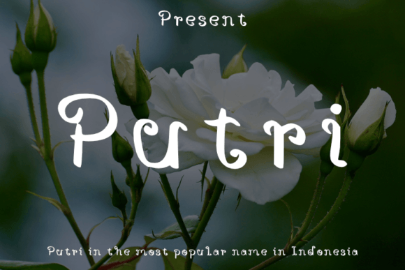 Putri: A Modern Script Handwritten Typeface for Elegant Campaigns
