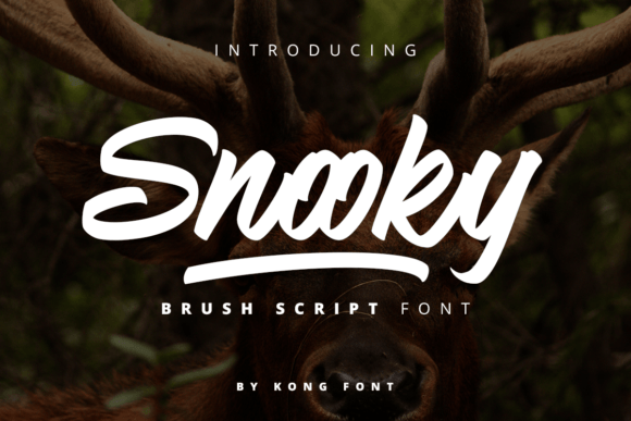 Snooky: A Playful Handwritten Script Font for Thoughtful Design
